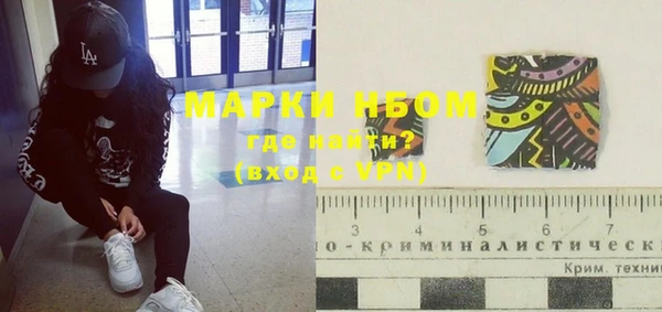 хмурый Белокуриха