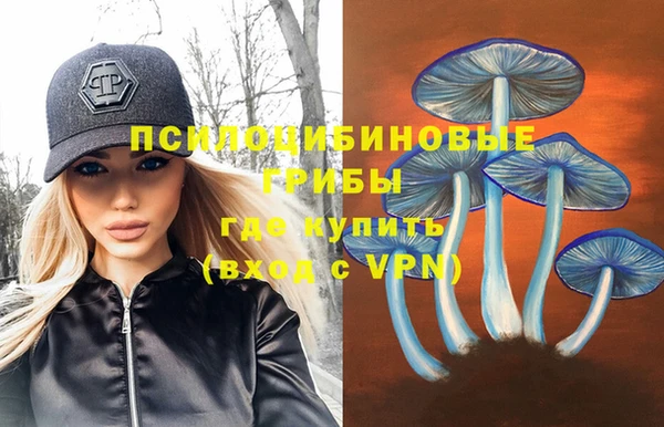 хмурый Белокуриха