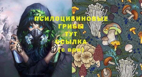 тгк Иннополис