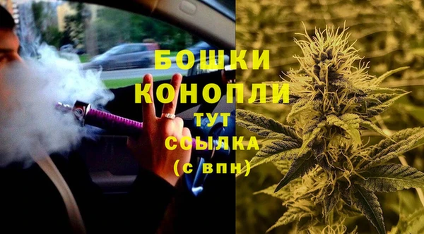 PSILOCYBIN Белоозёрский