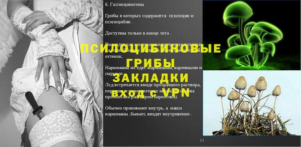 PSILOCYBIN Белоозёрский