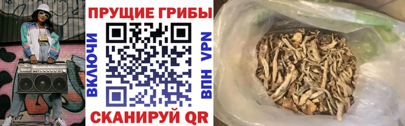 Псилоцибиновые грибы MAGIC MUSHROOMS  где можно купить наркотик  Заозёрный 