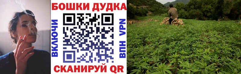 МАРИХУАНА план  Заозёрный 